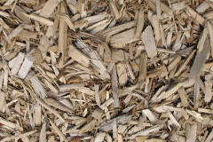 biomass boilers Muckamore